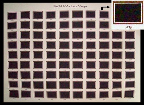 RW1 91 (1934 2023) FED DUCK STAMP MATS w Calligraphy  