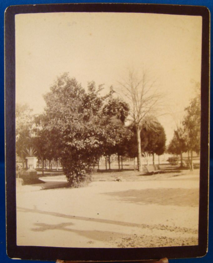 1890s Albumen Photograph New Orleans Louisiana Cemetery  