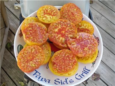 Heirloom Hillbilly Potato Leaf Tomato~25 Seeds ~SWEET~  