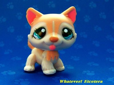 Littlest Pet Shop Lot Big Sister HUSKY #1012 Rare NEW  