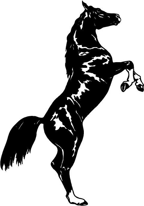 Arabian Horse Vinyl Decal Car Truck Window Sticker  