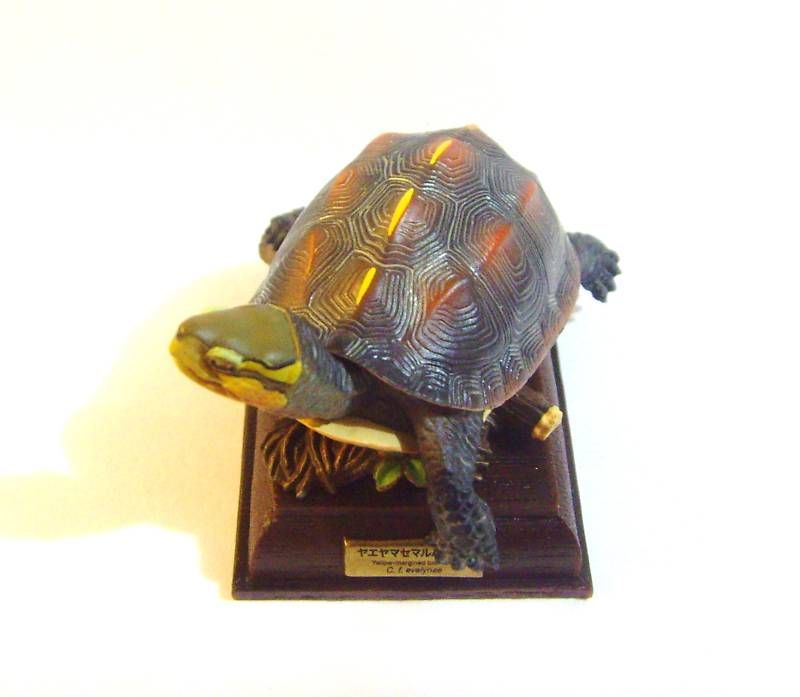 Kaiyodo Yujin Nature Techni Colour Box Turtle  