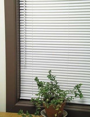 Light Filtering Vinyl Mini Blinds   29 x 64   Ivory  