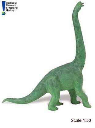 BRACHIOSAURUS ~Safari ~CARNEGIE MUSEUM     