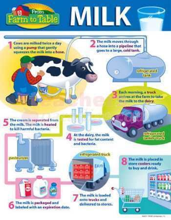 From Farm to Table   MILK Chart from TREND T 38198  