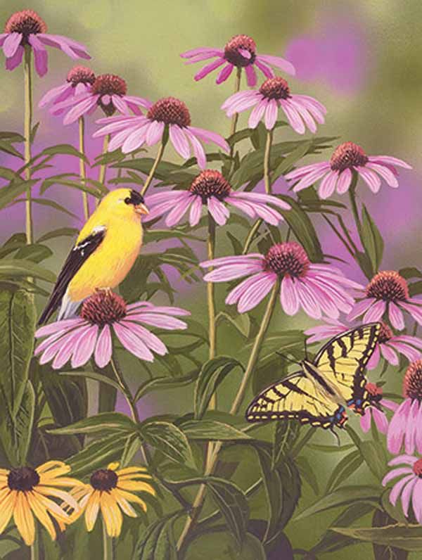   18 x 24 550 Piece ~ BUTTERFLY & FINCHES #859 724819254347  