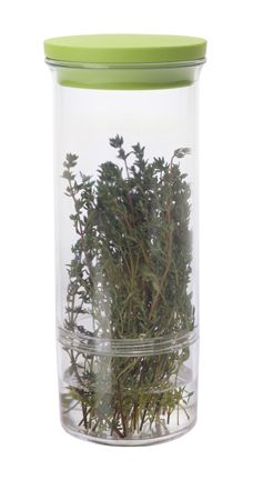 PROGRESSIVE FRESH HERB / ASPARAGUS KEEPER HK 10   NEW  