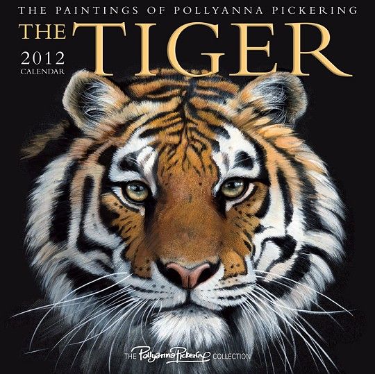 The Tiger by Pollyanna Pickering   12 Month Official 2012 Calendar