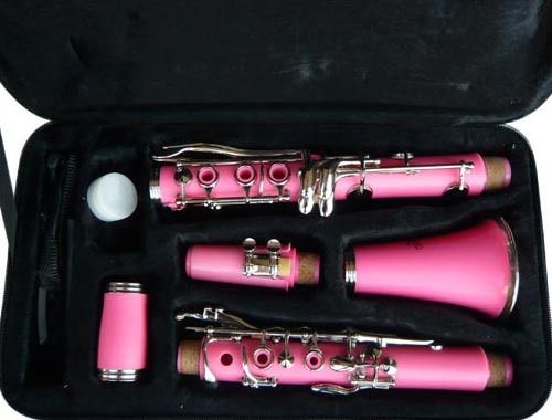 BRAND NEW PINK CLARINET W/CASE.5 YEARS WARRANTY  