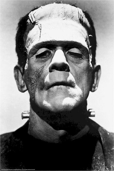 MOVIE POSTER ~ FRANKENSTEIN BORIS KARLOFF PORTRAIT  