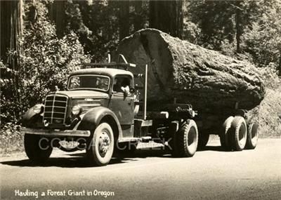 LOGGER MACK BULLDOG LOGGING TRUCK HUGE 1 LOG LOAD PHOTO  