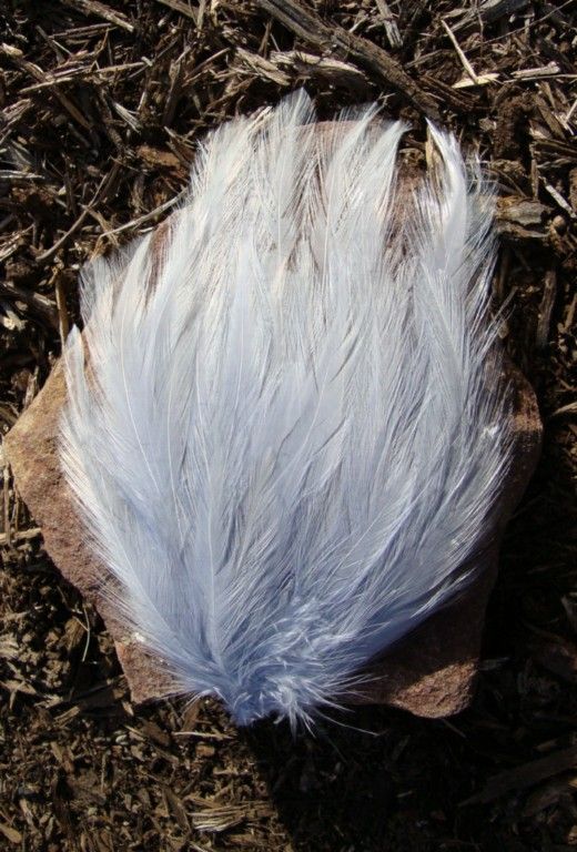 BEAUTIFUL LIGHT GRAY ROOSTER HACKLE FEATHER PAD~NEW  