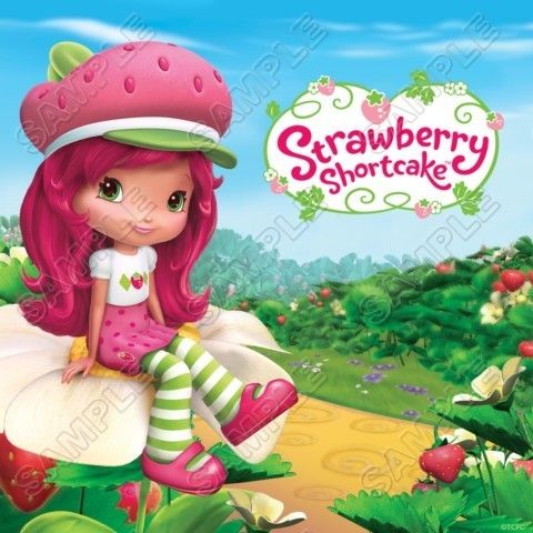 Strawberry Shortcake Shirt Iron on Transfer #10  